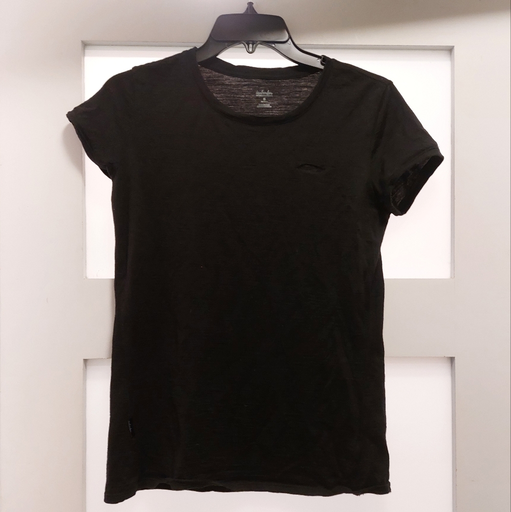 Icebreaker Tech Lite T Shirt
